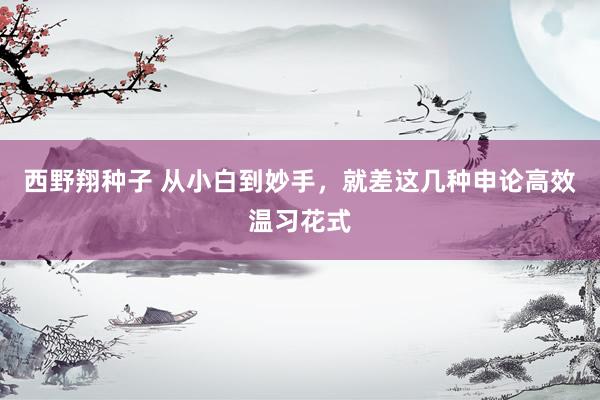 西野翔种子 从小白到妙手,就差这几种申论高效温习花式