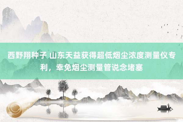 西野翔种子 山东天益获得超低烟尘浓度测量仪专利，幸免烟尘测量管说念堵塞