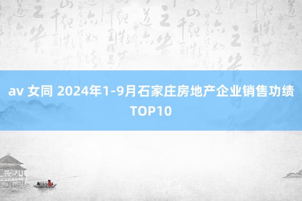 av 女同 2024年1-9月石家庄房地产企业销售功绩TOP10
