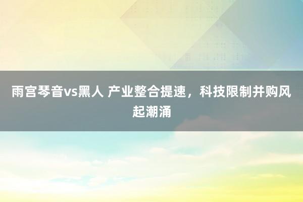 雨宫琴音vs黑人 产业整合提速,科技限制并购风起潮涌