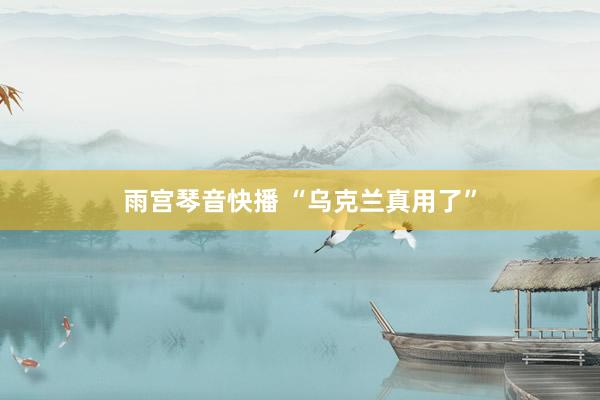 雨宫琴音快播 “乌克兰真用了”