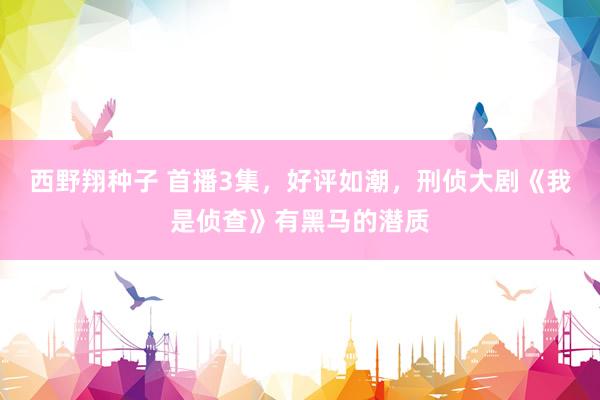 西野翔种子 首播3集，好评如潮，刑侦大剧《我是侦查》有黑马的潜质