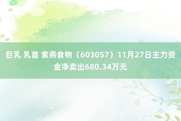 巨乳 乳首 紫燕食物（603057）11月27日主力资金净卖出680.34万元