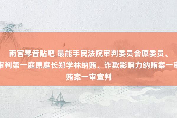 雨宫琴音贴吧 最能手民法院审判委员会原委员、民事审判第一庭原庭长郑学林纳贿、诈欺影响力纳贿案一审宣判