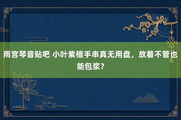 雨宫琴音贴吧 小叶紫檀手串真无用盘，放着不管也能包浆？
