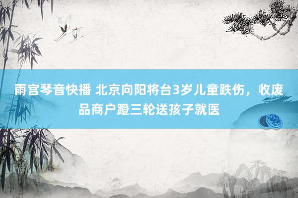雨宫琴音快播 北京向阳将台3岁儿童跌伤，收废品商户蹬三轮送孩子就医