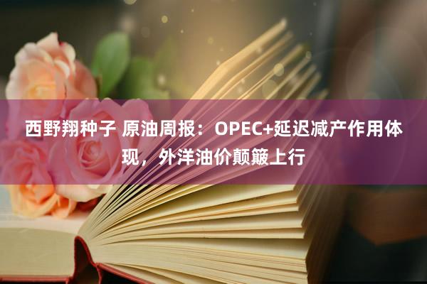 西野翔种子 原油周报:OPEC+延迟减产作用体现,外洋油价颠簸上行