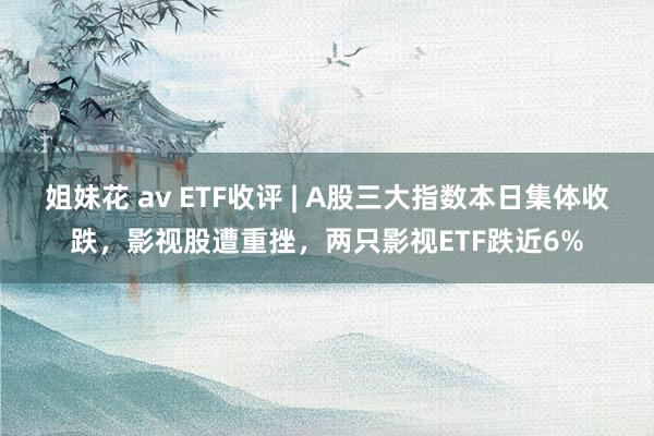 姐妹花 av ETF收评 | A股三大指数本日集体收跌，影视股遭重挫，两只影视ETF跌近6%