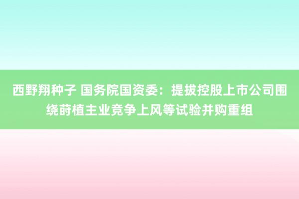 西野翔种子 国务院国资委：提拔控股上市公司围绕莳植主业竞争上风等试验并购重组