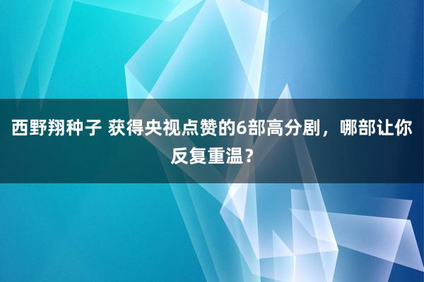西野翔种子 获得央视点赞的6部高分剧，哪部让你反复重温？