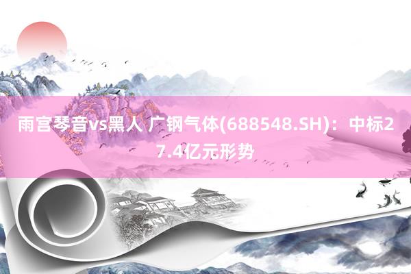 雨宫琴音vs黑人 广钢气体(688548.SH)：中标27.4亿元形势