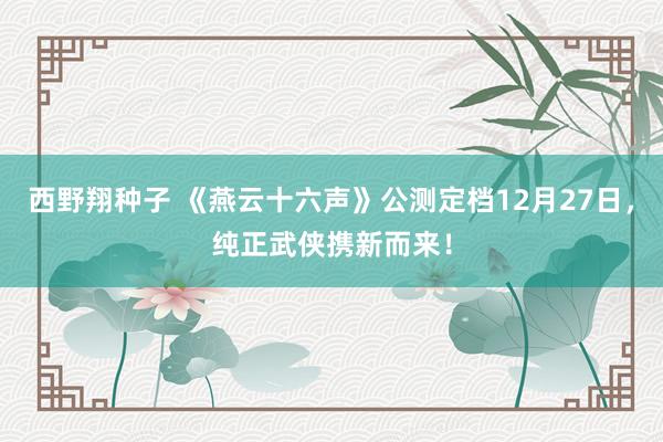 西野翔种子 《燕云十六声》公测定档12月27日，纯正武侠携新而来！