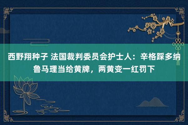 西野翔种子 法国裁判委员会护士人：辛格踩多纳鲁马理当给黄牌，两黄变一红罚下