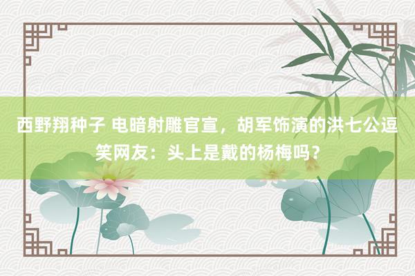 西野翔种子 电暗射雕官宣，胡军饰演的洪七公逗笑网友：头上是戴的杨梅吗？