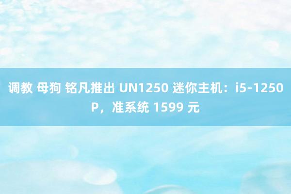 调教 母狗 铭凡推出 UN1250 迷你主机：i5-1250P，准系统 1599 元