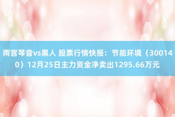 雨宫琴音vs黑人 股票行情快报：节能环境（300140）12月25日主力资金净卖出1295.66万元