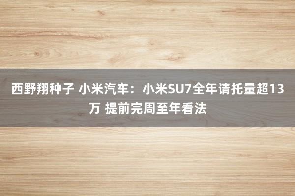 西野翔种子 小米汽车：小米SU7全年请托量超13万 提前完周至年看法