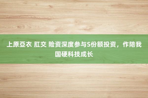 上原亞衣 肛交 险资深度参与S份额投资，作陪我国硬科技成长