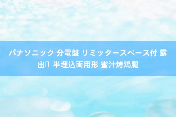 パナソニック 分電盤 リミッタースペース付 露出・半埋込両用形 蜜汁烤鸡腿