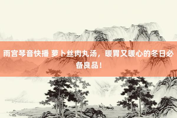 雨宫琴音快播 萝卜丝肉丸汤，暖胃又暖心的冬日必备良品！