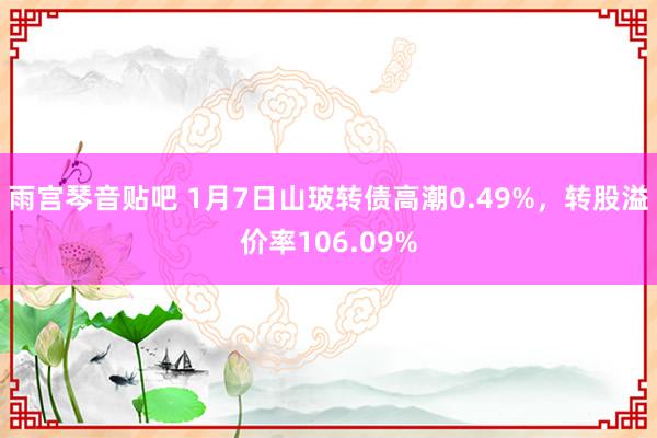雨宫琴音贴吧 1月7日山玻转债高潮0.49%,转股溢价率106.09%