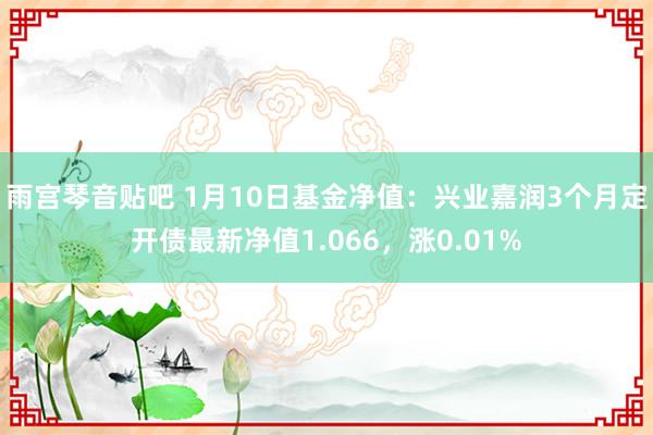 雨宫琴音贴吧 1月10日基金净值：兴业嘉润3个月定开债最新净值1.066，涨0.01%