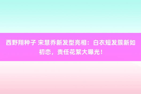 西野翔种子 宋慧乔新发型亮相：白衣短发簇新如初恋，责任花絮大曝光！