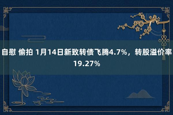自慰 偷拍 1月14日新致转债飞腾4.7%,转股溢价率19.27%