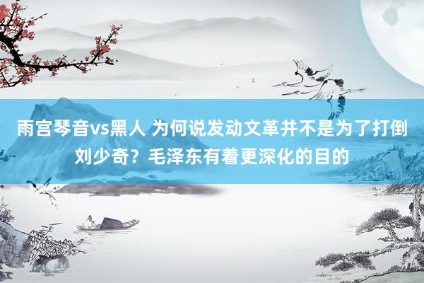雨宫琴音vs黑人 为何说发动文革并不是为了打倒刘少奇？毛泽东有着更深化的目的