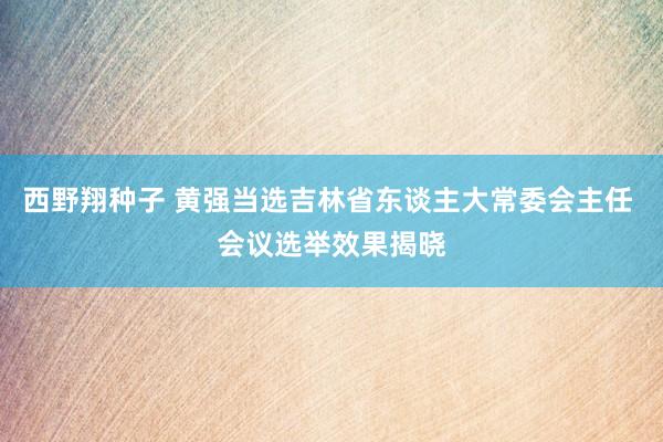 西野翔种子 黄强当选吉林省东谈主大常委会主任 会议选举效果揭晓