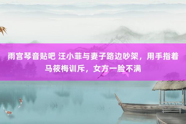 雨宫琴音贴吧 汪小菲与妻子路边吵架，用手指着马筱梅训斥，女方一脸不满