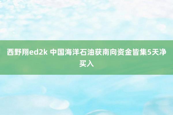 西野翔ed2k 中国海洋石油获南向资金皆集5天净买入