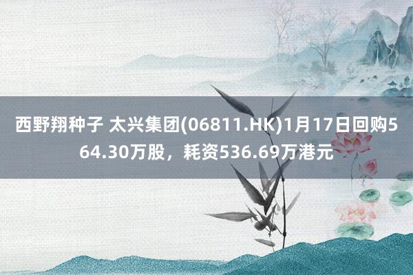 西野翔种子 太兴集团(06811.HK)1月17日回购564.30万股，耗资536.69万港元