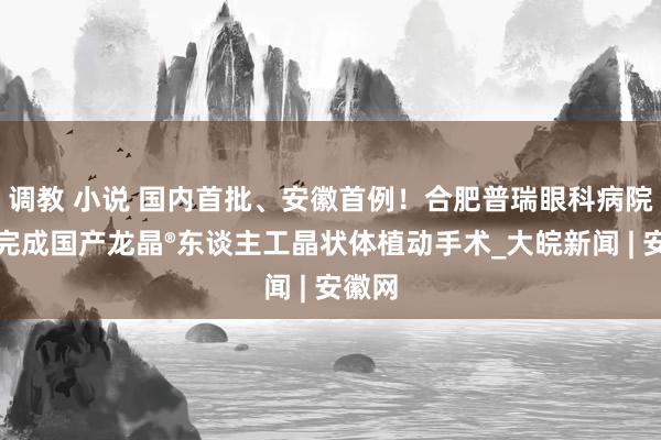 调教 小说 国内首批、安徽首例！合肥普瑞眼科病院凯旋完成国产龙晶®东谈主工晶状体植动手术_大皖新闻 | 安徽网