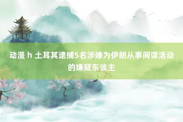 动漫 h 土耳其逮捕5名涉嫌为伊朗从事间谍活动的嫌疑东谈主