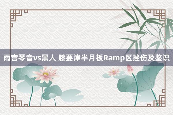 雨宫琴音vs黑人 膝要津半月板Ramp区挫伤及鉴识