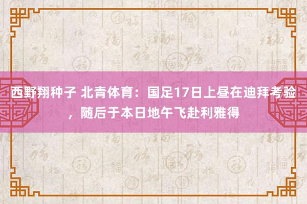 西野翔种子 北青体育：国足17日上昼在迪拜考验，随后于本日地午飞赴利雅得