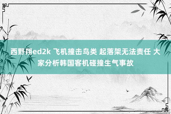 西野翔ed2k 飞机撞击鸟类 起落架无法责任 大家分析韩国客机碰撞生气事故