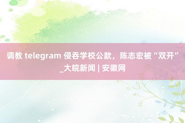 调教 telegram 侵吞学校公款，陈志宏被“双开”_大皖新闻 | 安徽网