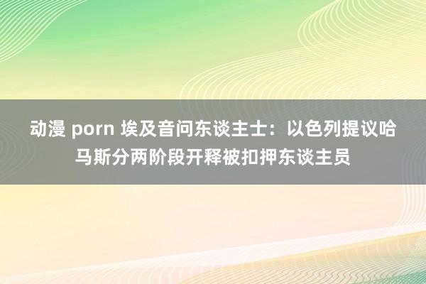 动漫 porn 埃及音问东谈主士：以色列提议哈马斯分两阶段开释被扣押东谈主员