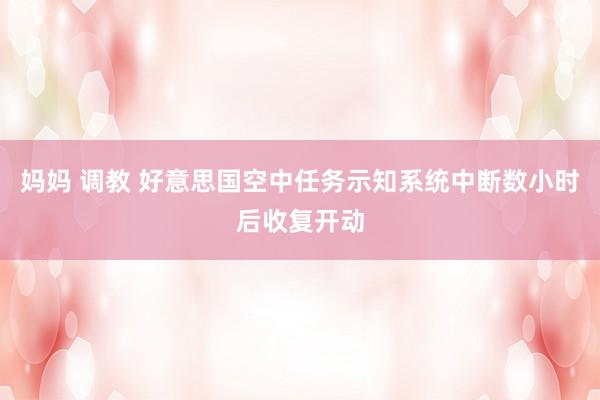 妈妈 调教 好意思国空中任务示知系统中断数小时后收复开动