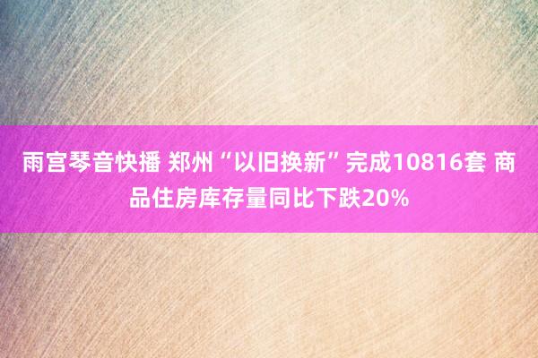 雨宫琴音快播 郑州“以旧换新”完成10816套 商品住房库存量同比下跌20%