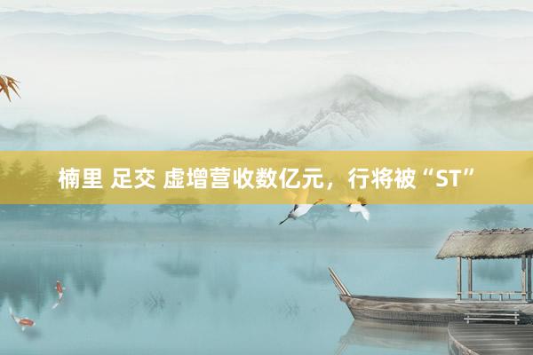 楠里 足交 虚增营收数亿元，行将被“ST”