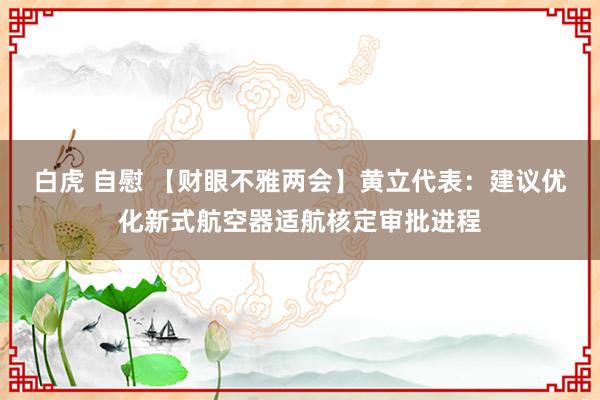 白虎 自慰 【财眼不雅两会】黄立代表：建议优化新式航空器适航核定审批进程