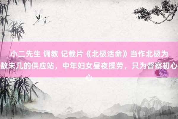 小二先生 调教 记载片《北极活命》当作北极为数未几的供应站，中年妇女昼夜操劳，只为督察初心