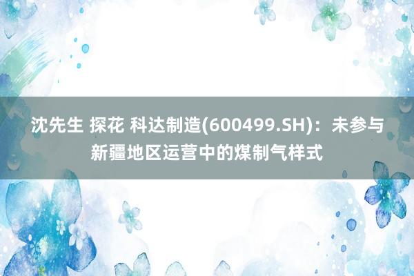 沈先生 探花 科达制造(600499.SH)：未参与新疆地区运营中的煤制气样式