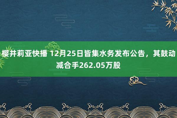 樱井莉亚快播 12月25日皆集水务发布公告，其鼓动减合手262.05万股