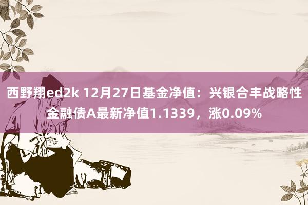 西野翔ed2k 12月27日基金净值：兴银合丰战略性金融债A最新净值1.1339，涨0.09%