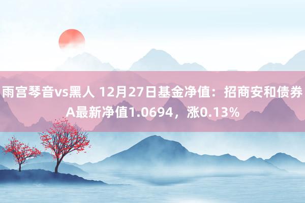 雨宫琴音vs黑人 12月27日基金净值：招商安和债券A最新净值1.0694，涨0.13%