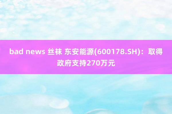 bad news 丝袜 东安能源(600178.SH)：取得政府支持270万元